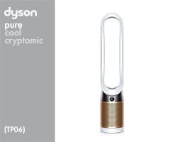 Dyson TP06 275411-01 TP06 EU/CH/TR Wh/Gd () (White/Gold) Luftbehandlung Filter