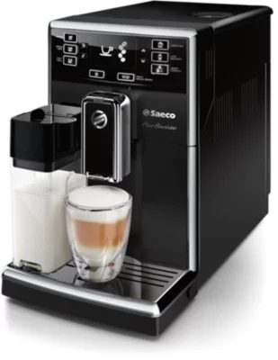 Saeco HD8925/01 PicoBaristo Reinigung Zubehör