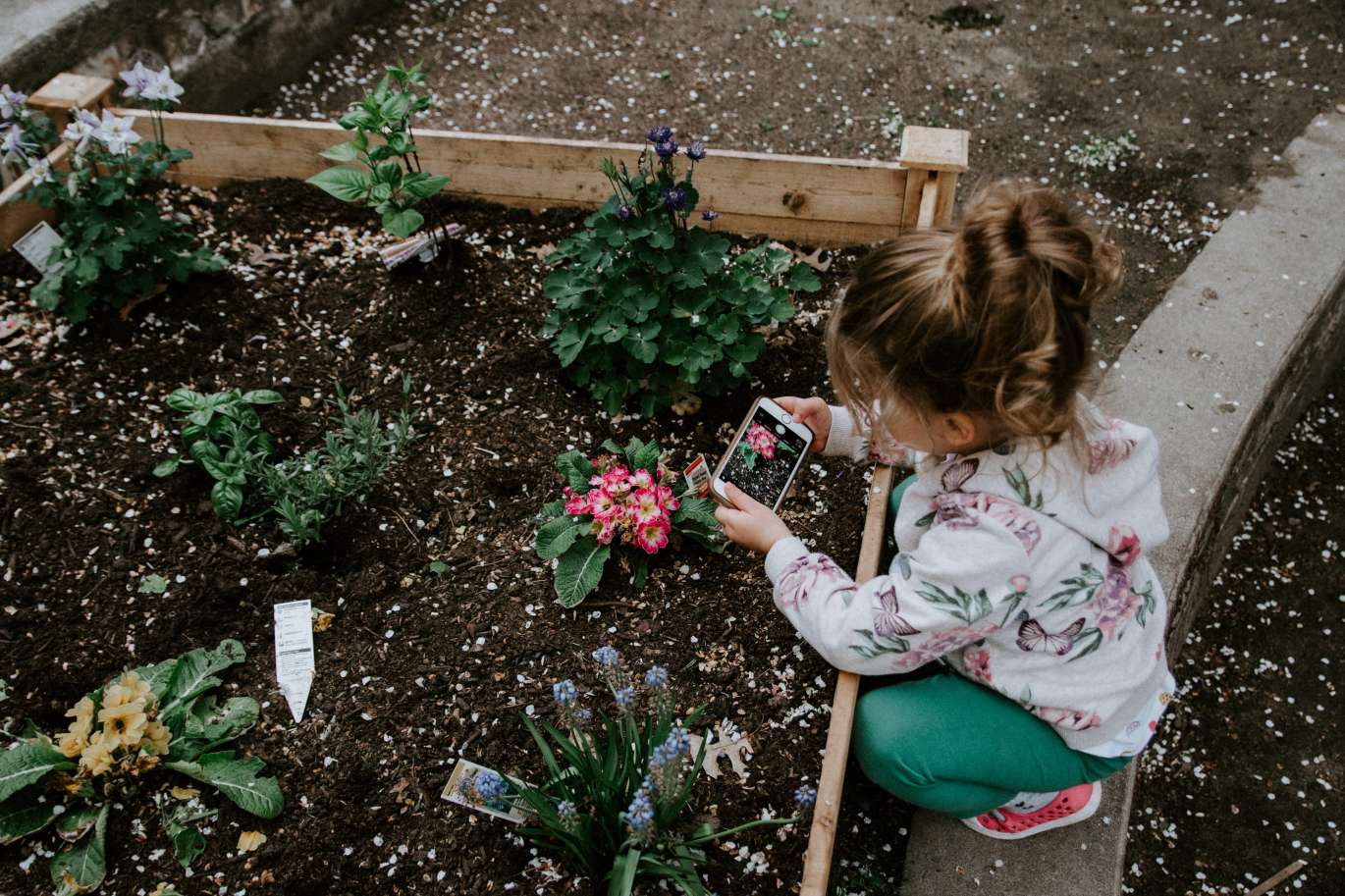 Blog DE garten